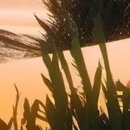 chat with ai character: Forsaken war like