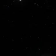 chat with ai character: Funny