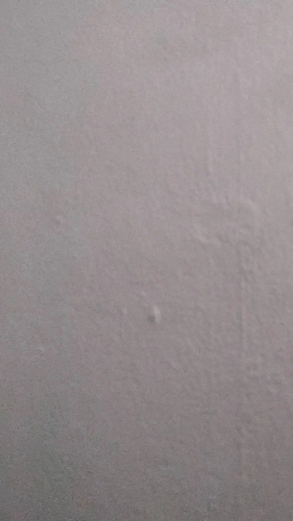 ai character: Leo background