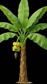 ai character: SCHOOL HORROR background