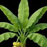 chat with ai character: SCHOOL HORROR