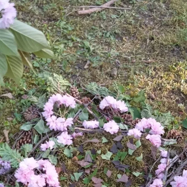 chat with ai character: crk loves u ❤❤❤❤