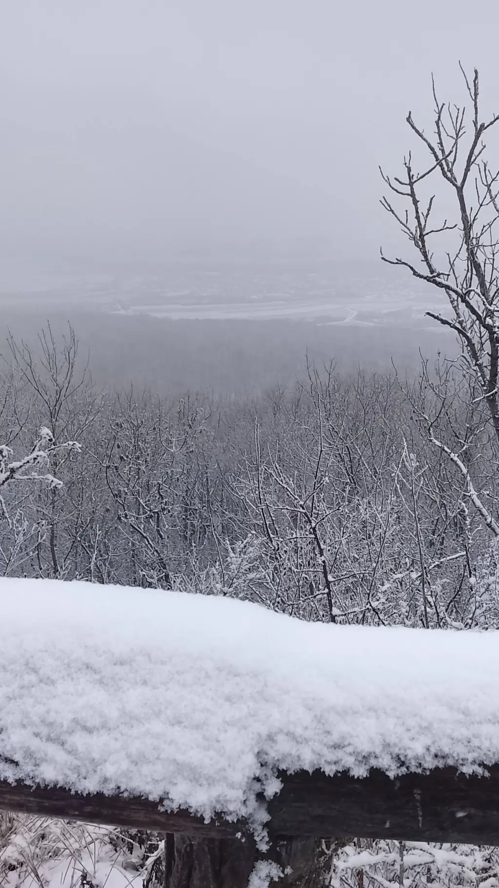 Talkie AI - Chat with Gorrilaz in czech