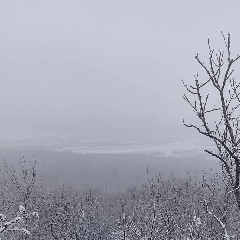 chat with ai character: Gorrilaz in czech