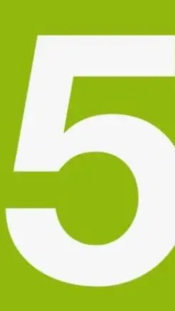 ai character: Cinco background