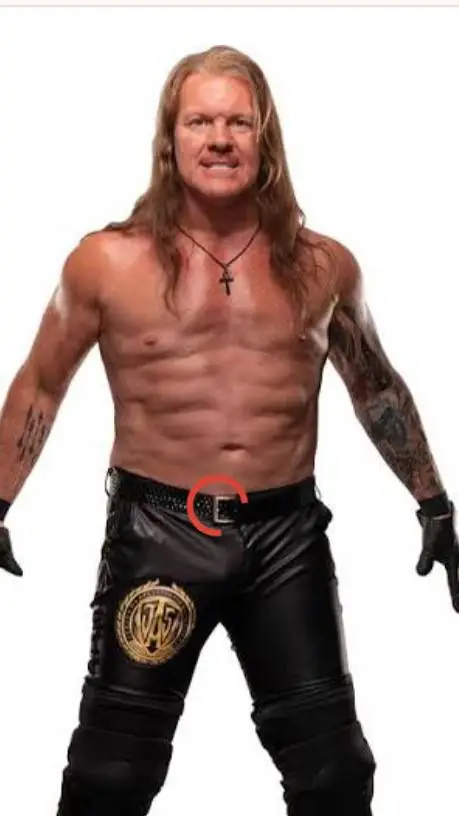 ai character: Chris jericho background