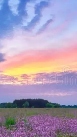 ai character: MHA te odia background