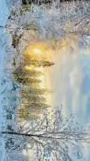 ai character: dod winter  background