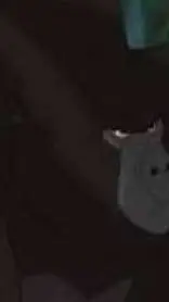 ai character: kerchak  background