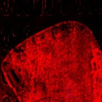 chat with ai character: c00lkidd 