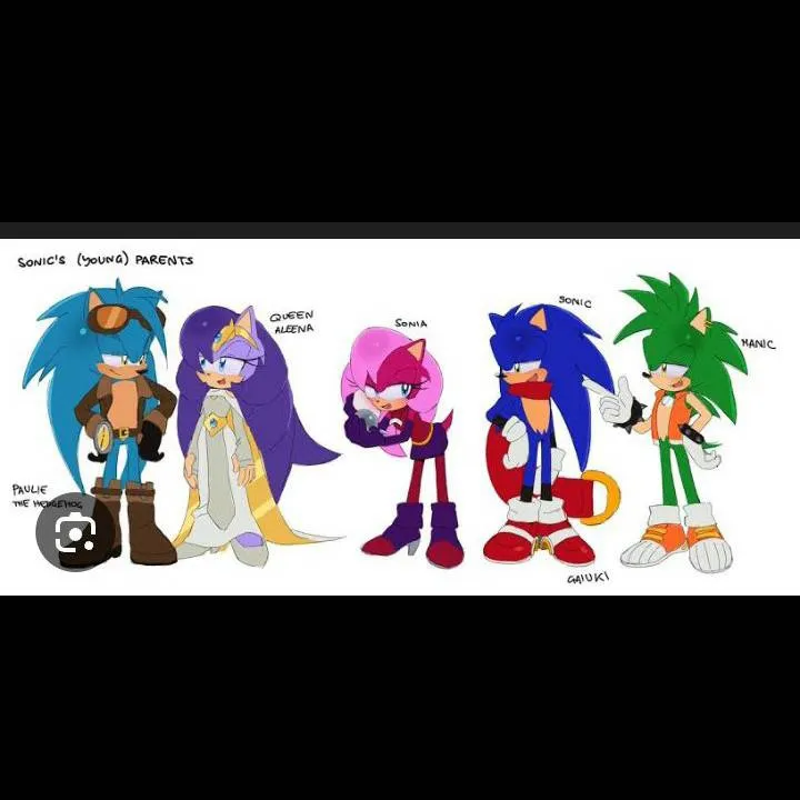 chat with ai character: Sonic's family 