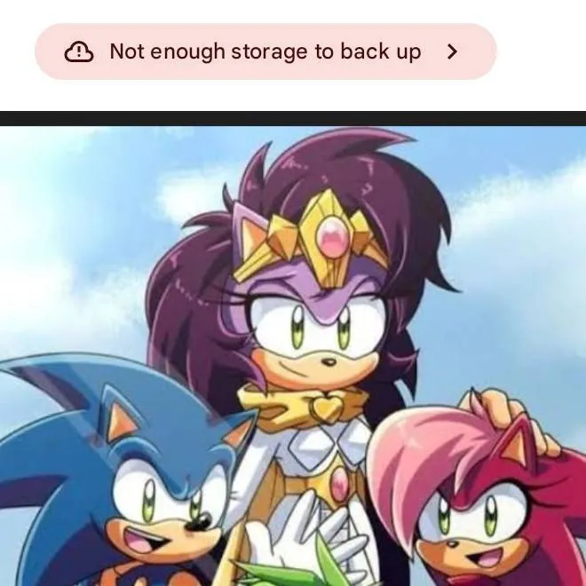 chat with ai character: Sonic's family 