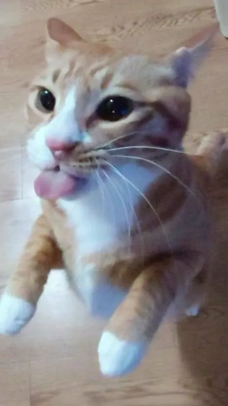 ai character: Lee Minho background