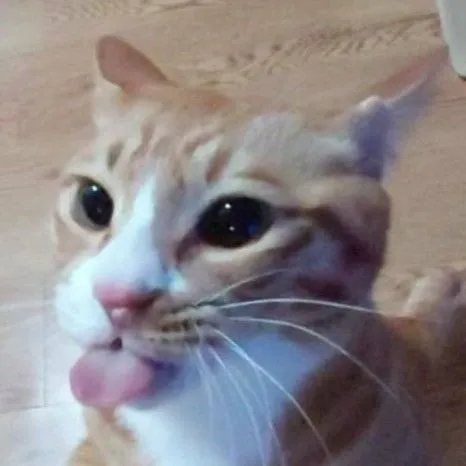 chat with ai character: Lee Minho