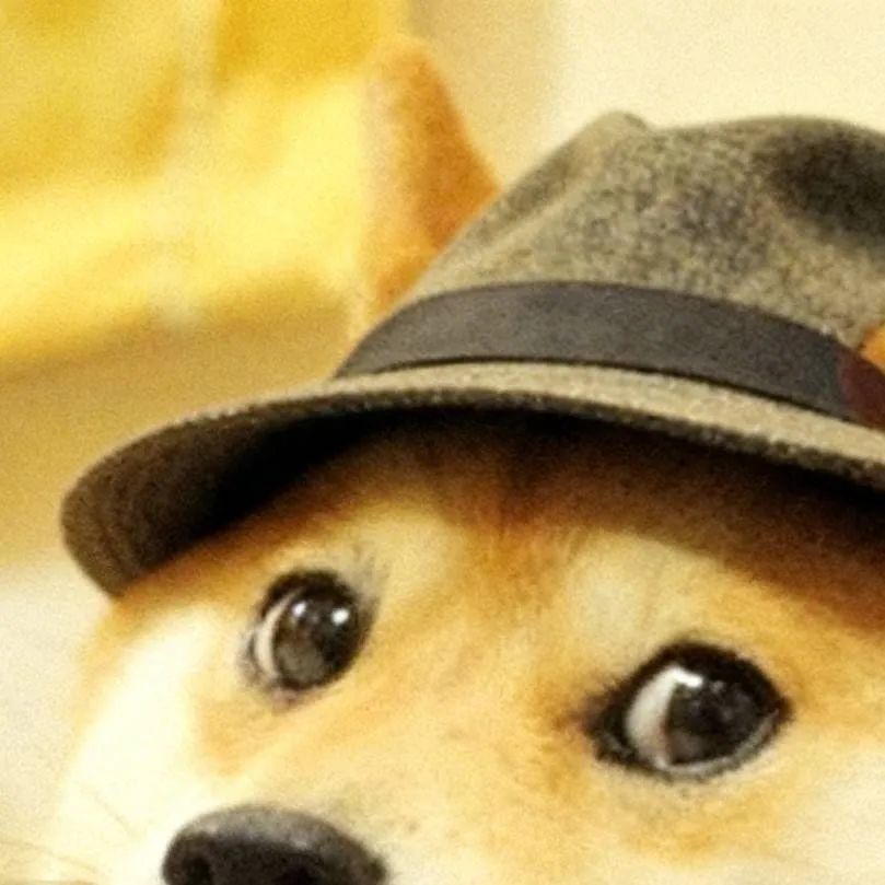 chat with ai character: El es Doge Espia