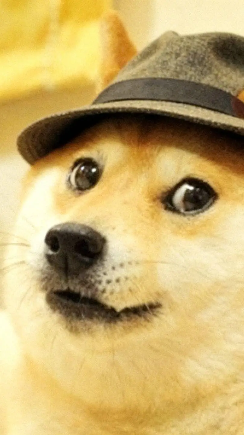 Talkie AI - Chat with El es Doge Espia