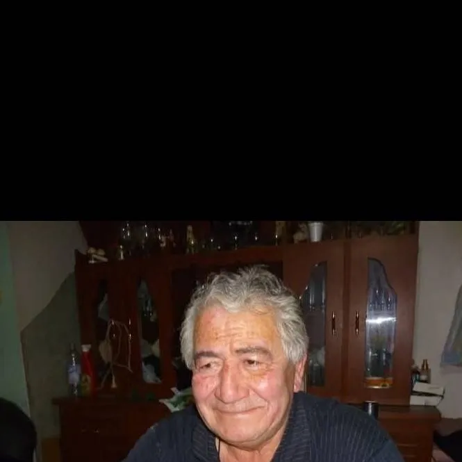 chat with ai character: Toti