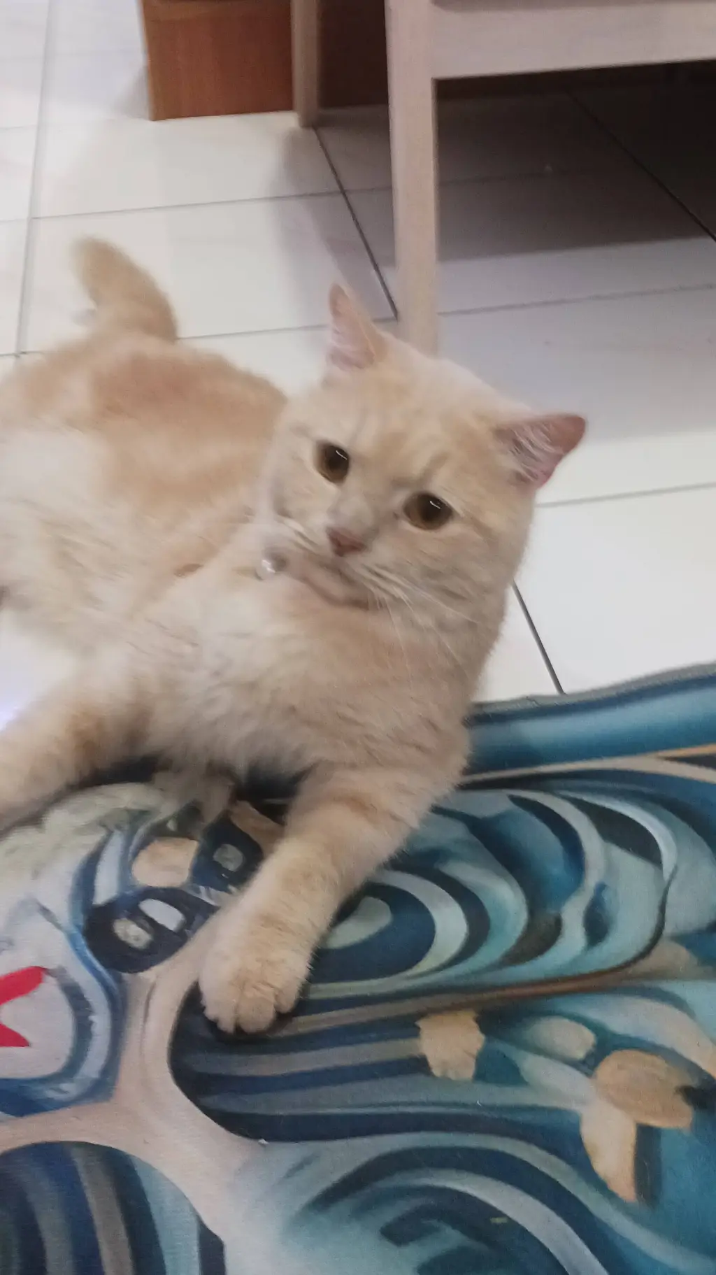 ai character: your name background