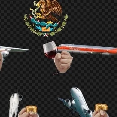 chat with ai character: fiesta de aviónes