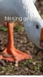 ai character: angry hissing gse background