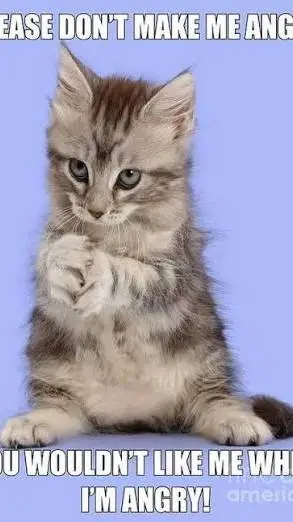 ai character: Make em angry 💀 background