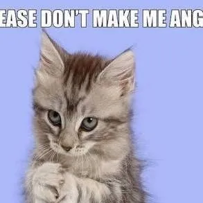 chat with ai character: Make em angry 💀