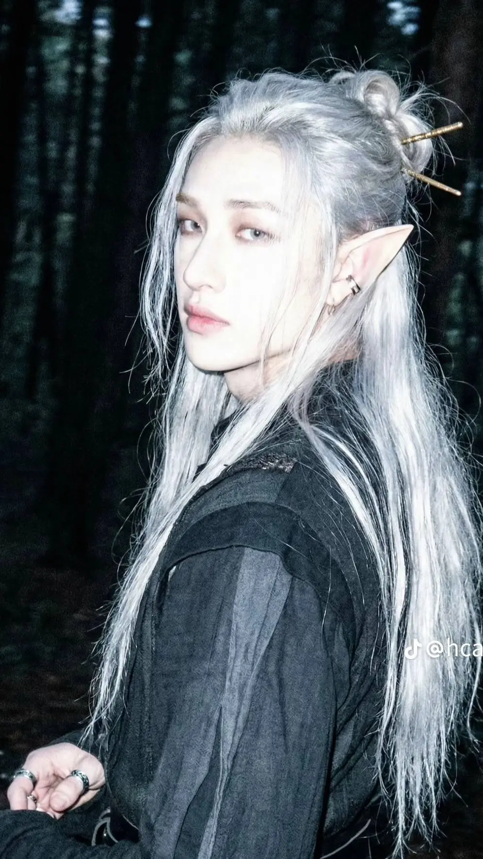 ai character: BANGCHAN fairy background