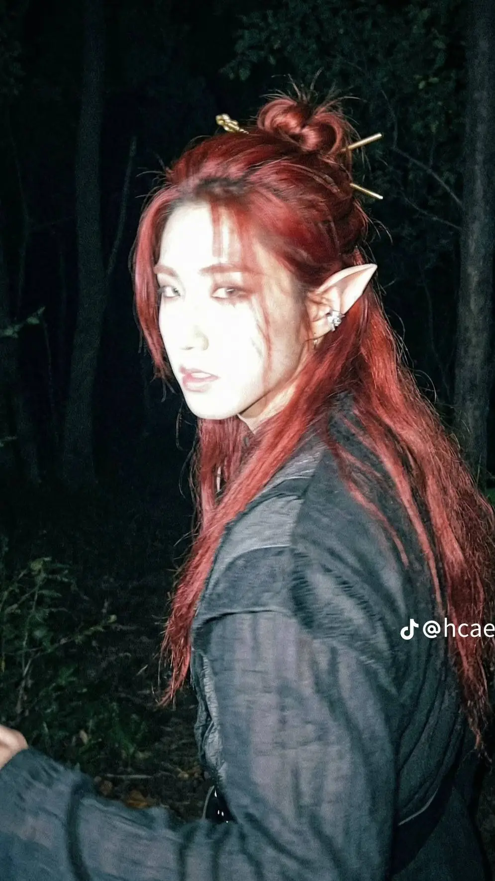 ai character: HAN Fairy background