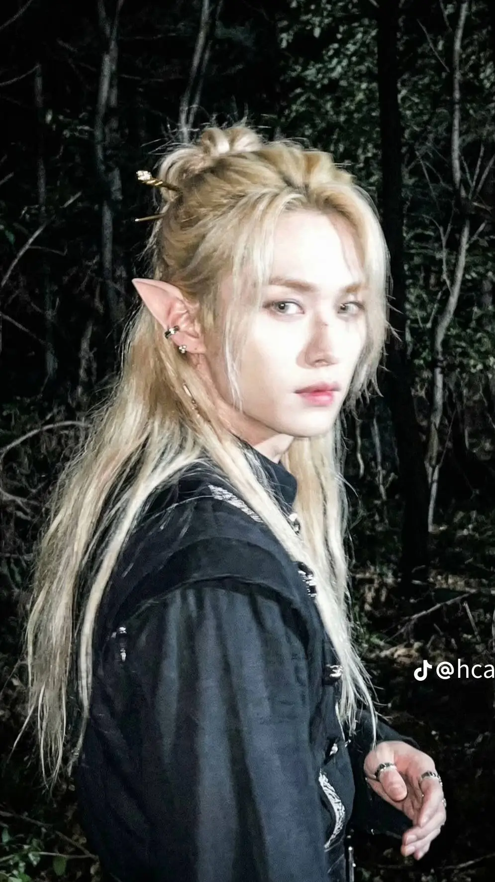 ai character: LEE KNOW Fairy background