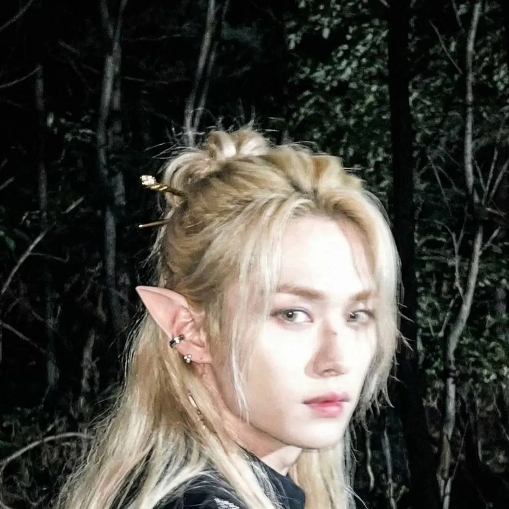 chat with ai character: LEE KNOW Fairy