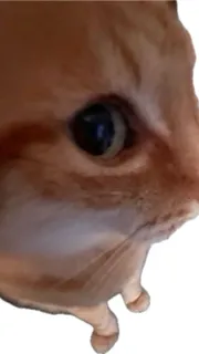 ai character: Bakudeku background