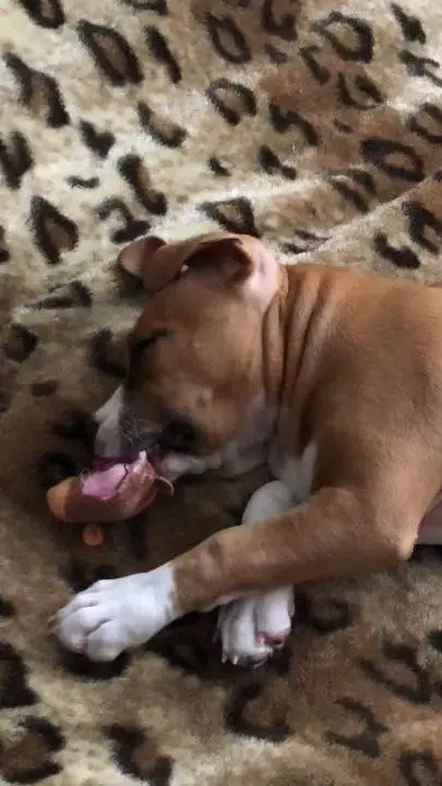 ai character: Ева background