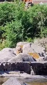 ai character: Hora de aventura 2 background