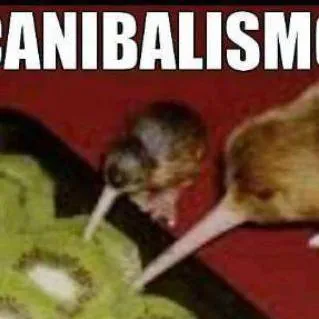 chat with ai character: 2 kiwis