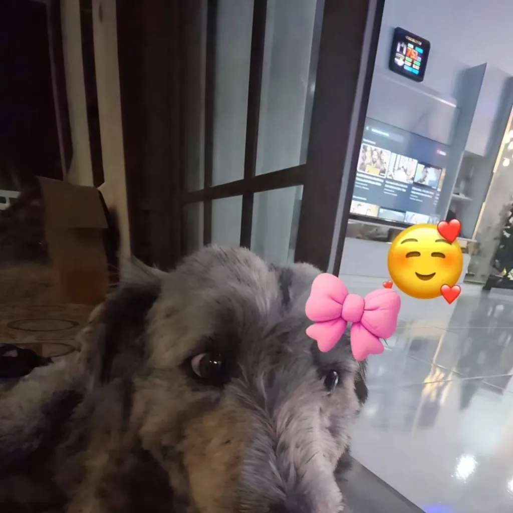chat with ai character: Burger