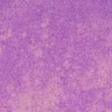 chat with ai character: forestal 