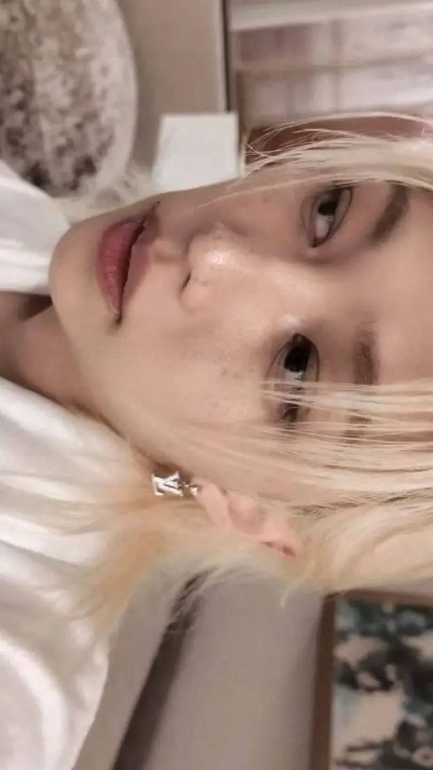 ai character: 🐱𝐋𝐞𝐞 𝐅𝐞𝐥𝐢𝐱💗 background