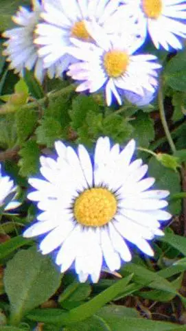 ai character: Your Story background