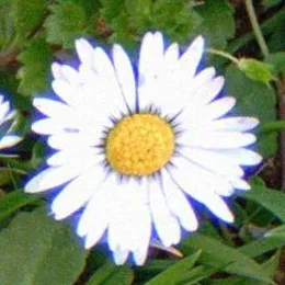 chat with ai character: Your Story