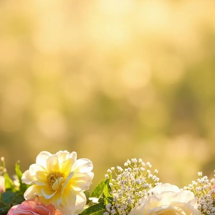 chat with ai character: hh spring