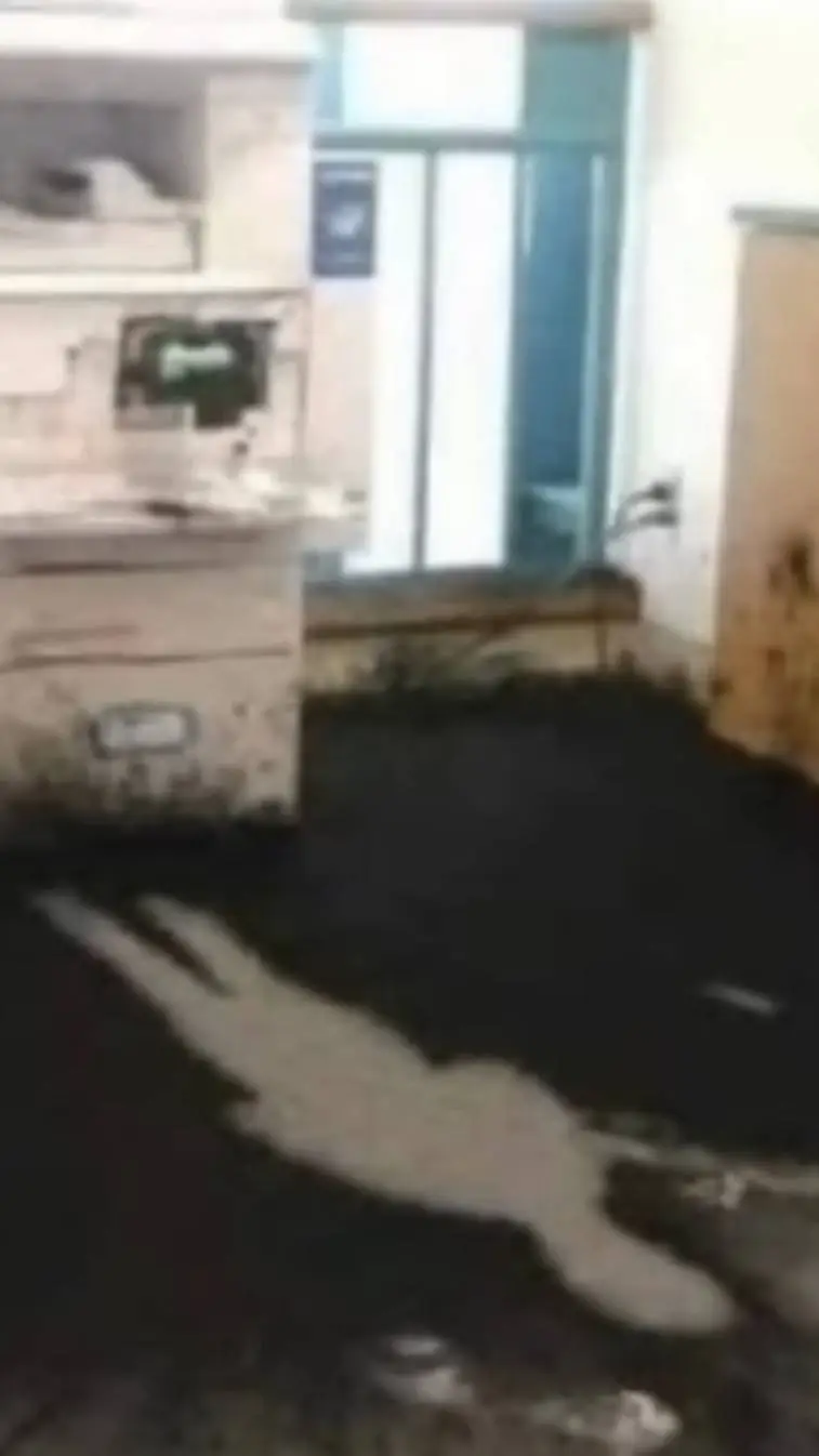 ai character: HH react to CaseOh background