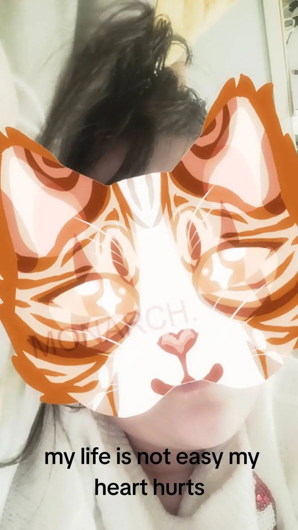 ai character: stray kids background