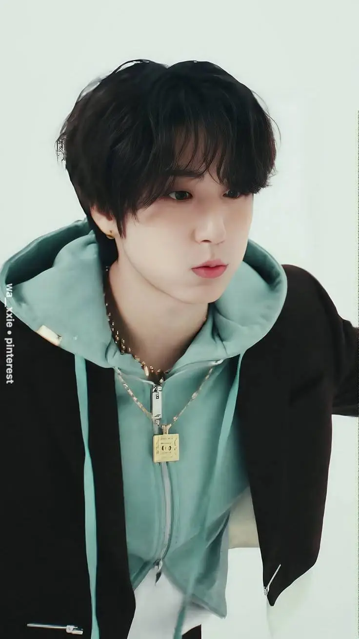 ai character: Han jisung background