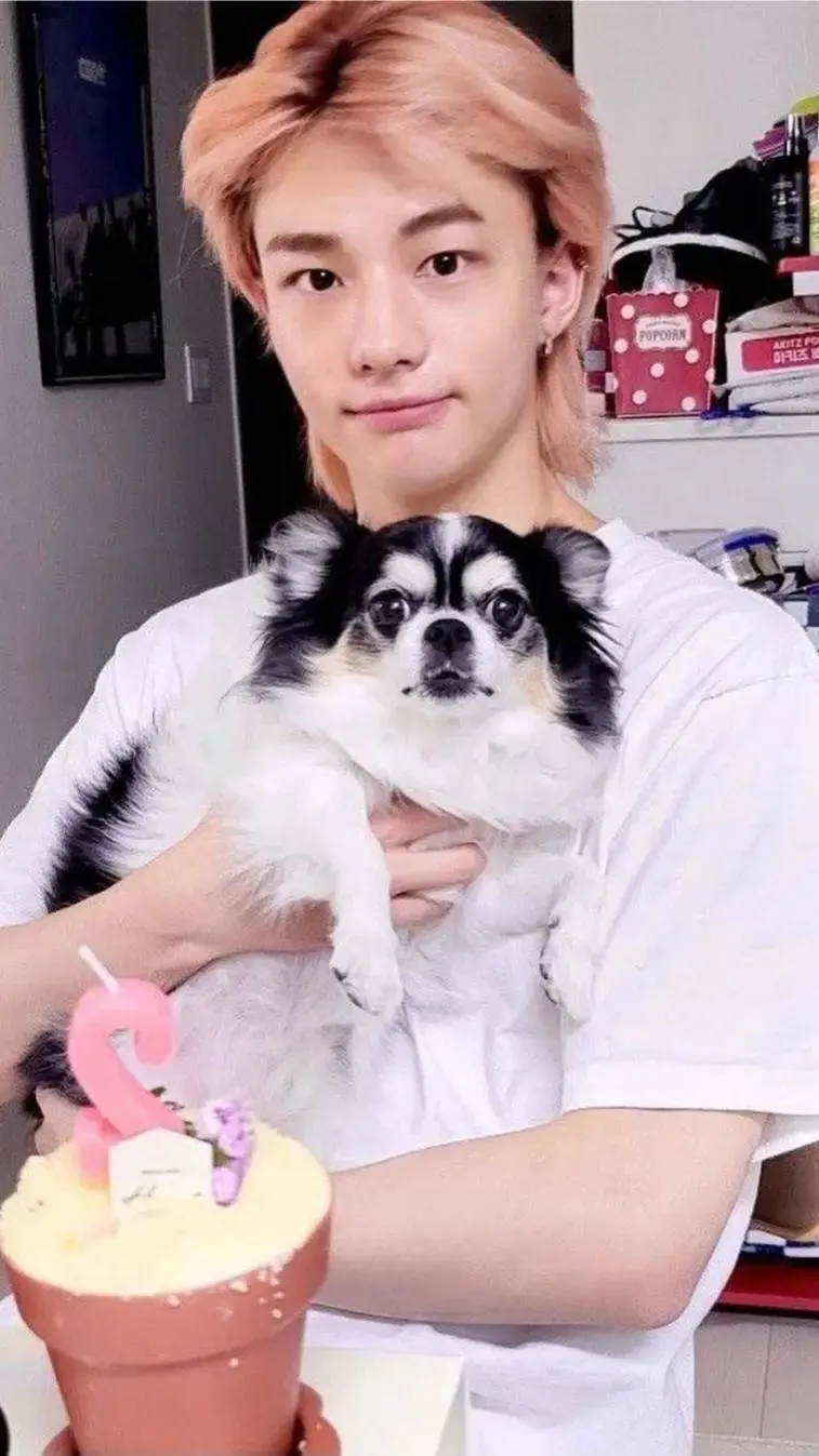 ai character: hyunlix i kkami  background