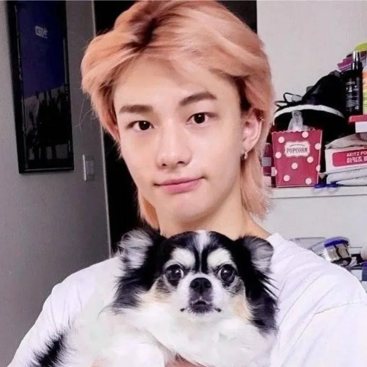 chat with ai character: hyunlix i kkami 