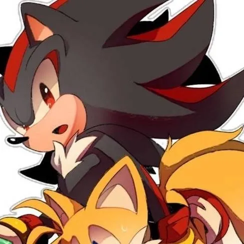 chat with ai character: shadow y tails