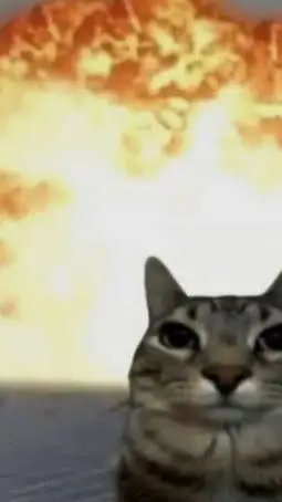 ai character: .  background