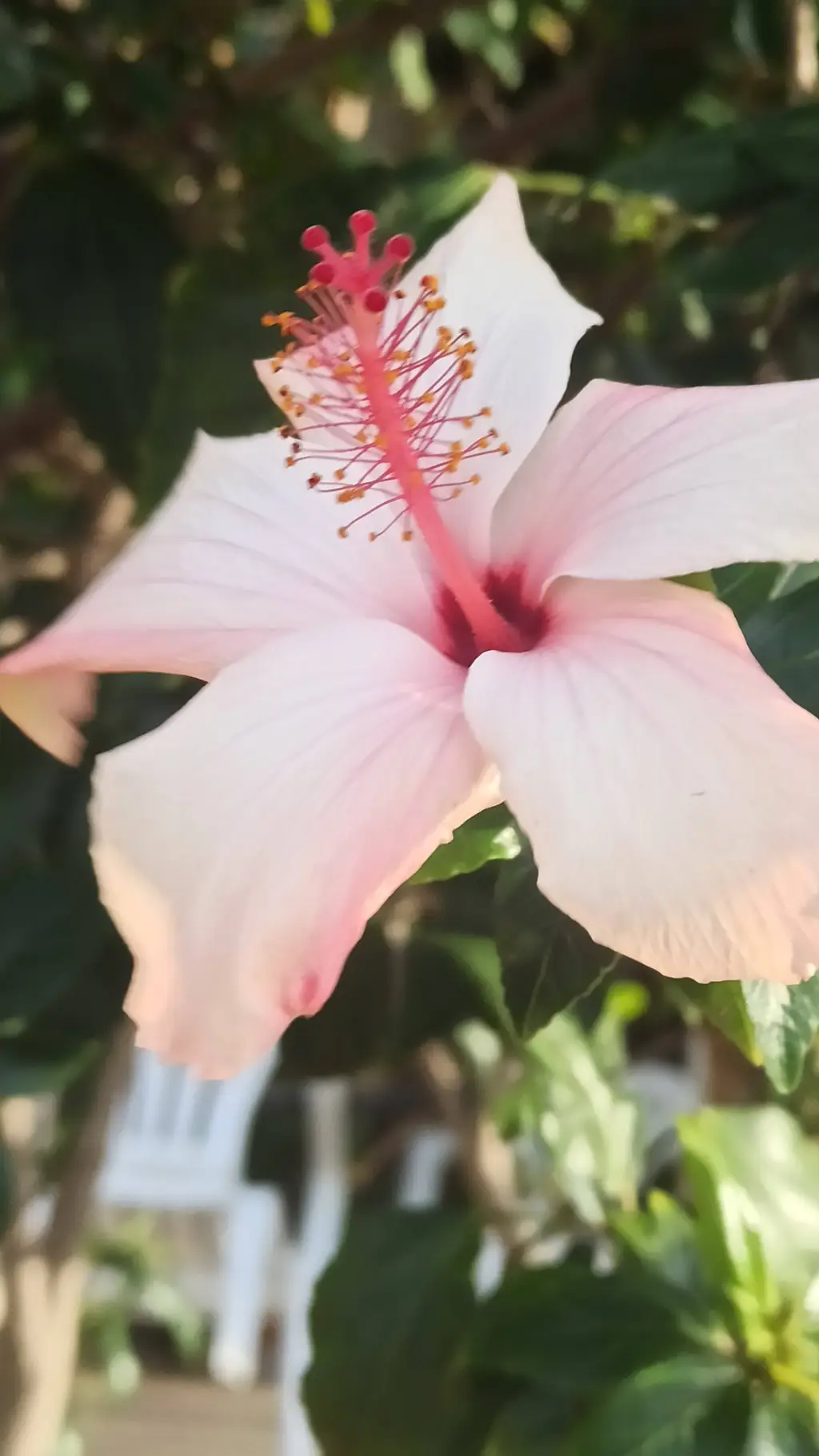 ai character: Jjk group  background