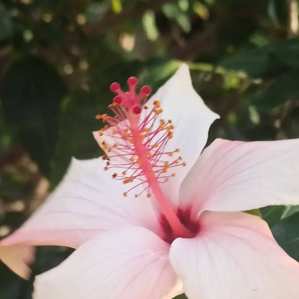 chat with ai character: Jjk group 