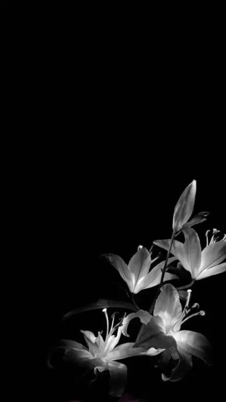 ai character: Somehow in Kny... background